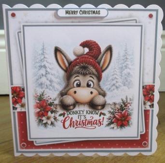 PersonalisedChristmasCardDonkey (1)