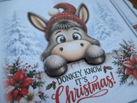 PersonalisedChristmasCardDonkey (2)