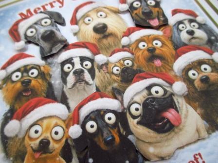 PersonalisedChristmasCardFunnyDogs (2)